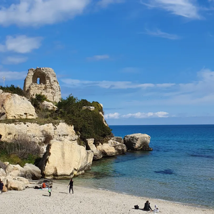 Omaggi 1 Torre dell'Orso